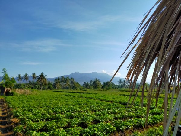 DeKonsensus Pesona Wisata Baru Desa Sigerongan Lombok Barat